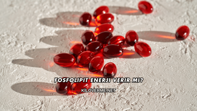 Fosfolipit Enerji Verir mi?