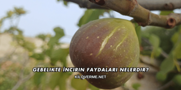 Gebelikte İncirin Faydaları Nelerdir?