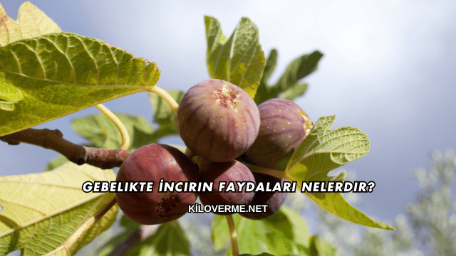 Gebelikte İncirin Faydaları Nelerdir?