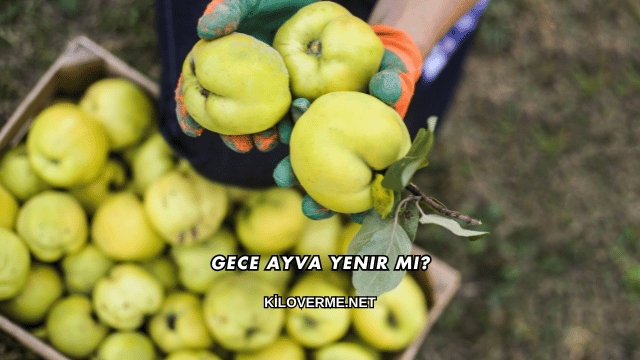Gece Ayva Yenir mi?
