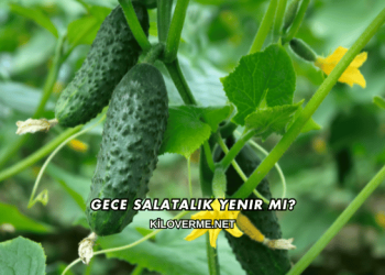 Gece Salatalık Yenir mi?