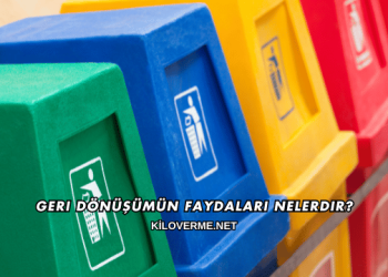 Geri Dönüşümün Faydaları Nelerdir?