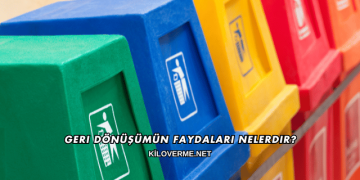 Geri Dönüşümün Faydaları Nelerdir?