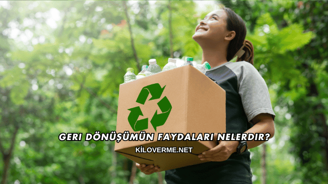 Geri Dönüşümün Faydaları Nelerdir?