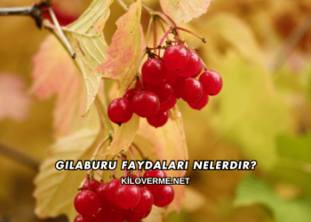 Gilaburu Faydaları Nelerdir?