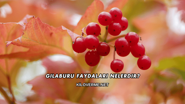 Gilaburu Faydaları Nelerdir?