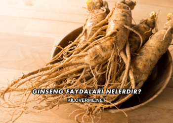 Ginseng Faydaları Nelerdir?