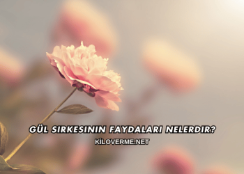 Gül Sirkesinin Faydaları Nelerdir?