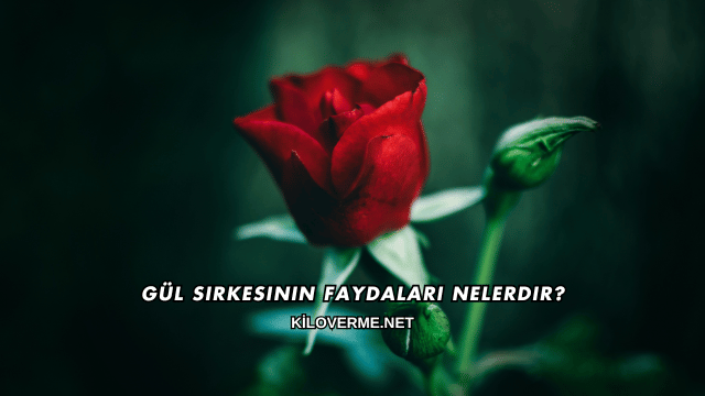 Gül Sirkesinin Faydaları Nelerdir?