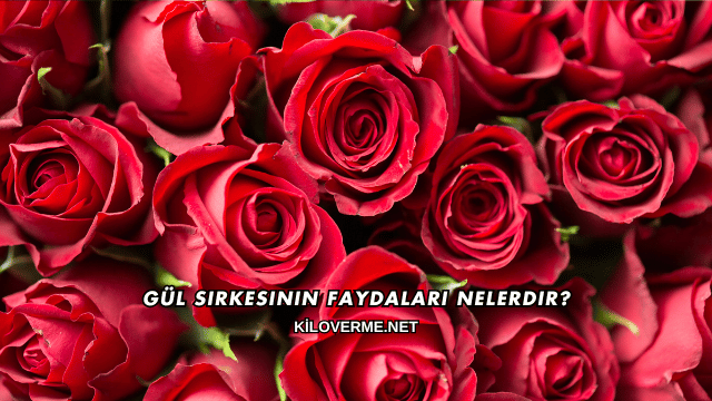 Gül Sirkesinin Faydaları Nelerdir?