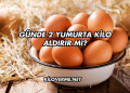 Günde 2 Yumurta Kilo Aldırır mı?