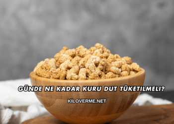 Günde Ne Kadar Kuru Dut Tüketilmeli?