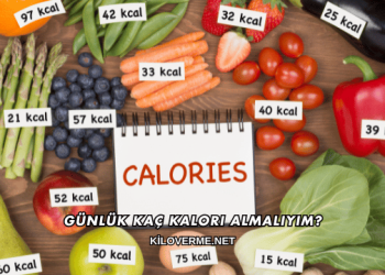 Günlük Kaç Kalori Almalıyım?