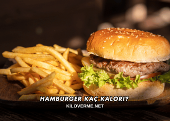 Hamburger Kaç Kalori?