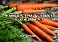 Hamilelikte Havuç Bebeğe Kilo Aldırır mı?