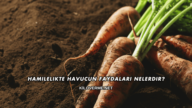 Hamilelikte Havucun Faydaları Nelerdir?