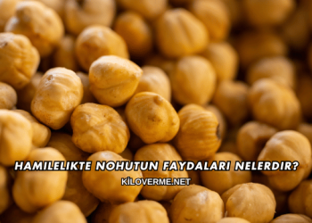 Hamilelikte Nohutun Faydaları Nelerdir?