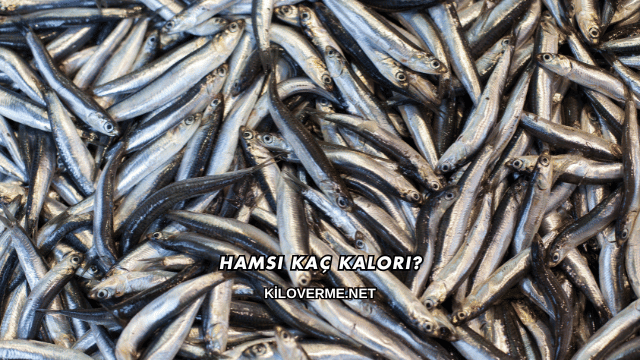 Hamsi Kaç Kalori?