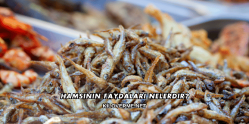 Hamsinin Faydaları Nelerdir?