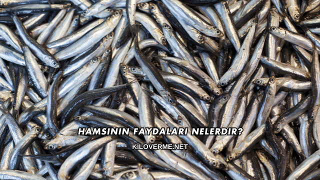 Hamsinin Faydaları Nelerdir?