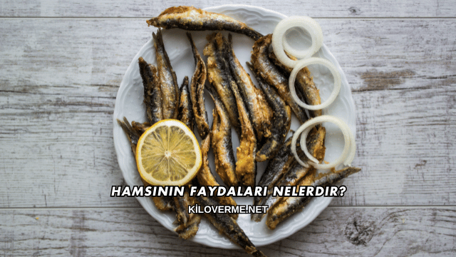 Hamsinin Faydaları Nelerdir?