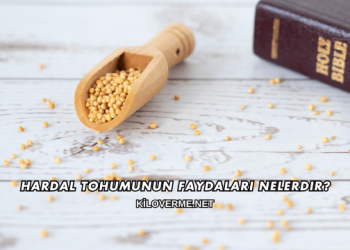Hardal Tohumunun Faydaları Nelerdir?