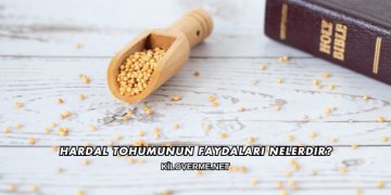 Hardal Tohumunun Faydaları Nelerdir?