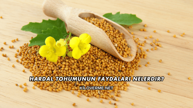 Hardal Tohumunun Faydaları Nelerdir?