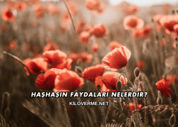 Haşhaşın Faydaları Nelerdir?