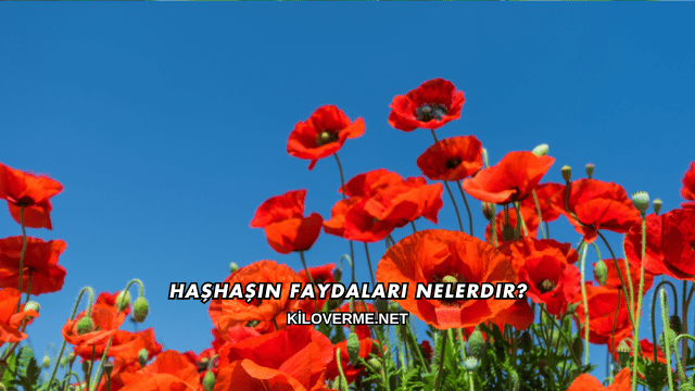 Haşhaşın Faydaları Nelerdir?