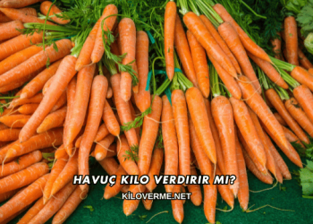 Havuç Kilo Verdirir mi?