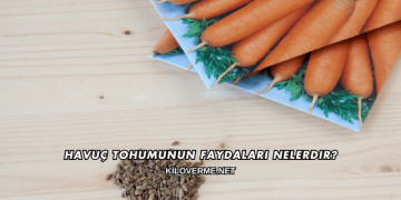 Havuç Tohumunun Faydaları Nelerdir?