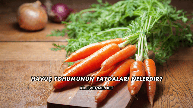 Havuç Tohumunun Faydaları Nelerdir?