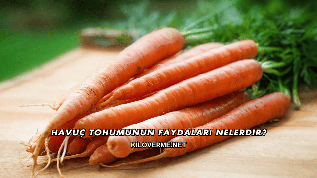 Havuç Tohumunun Faydaları Nelerdir?
