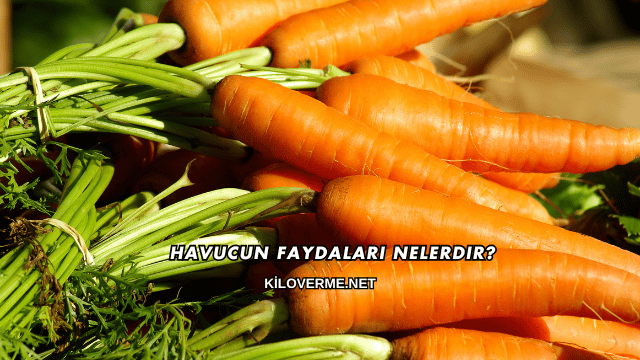 Havucun Faydaları Nelerdir?