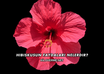 Hibiskusun Faydaları Nelerdir?