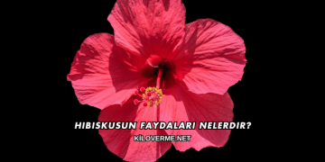 Hibiskusun Faydaları Nelerdir?