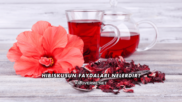 Hibiskusun Faydaları Nelerdir?