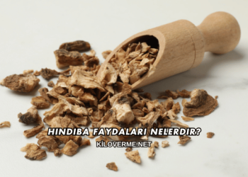Hindiba Faydaları Nelerdir?
