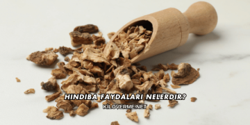Hindiba Faydaları Nelerdir?