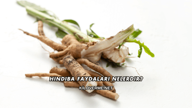 Hindiba Faydaları Nelerdir?