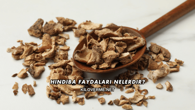 Hindiba Faydaları Nelerdir?