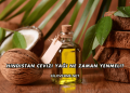 Hindistan Cevizi Yağı Ne Zaman Yenmeli?