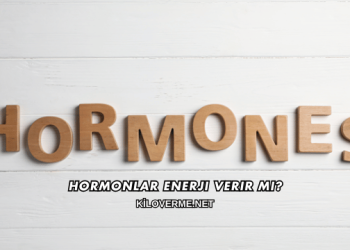 Hormonlar Enerji Verir mi?