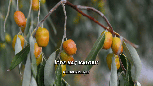 İğde Kaç Kalori?
