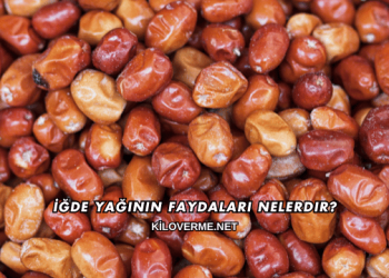 İğde Yağının Faydaları Nelerdir?