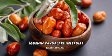 İğdenin Faydaları Nelerdir?