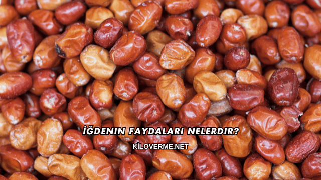 İğdenin Faydaları Nelerdir?