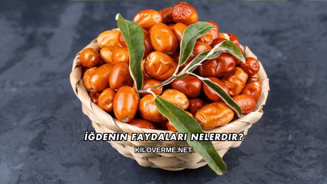 İğdenin Faydaları Nelerdir?
