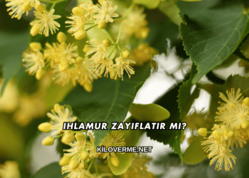 Ihlamur Zayıflatır mı?